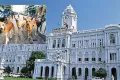 8 நாட்களில் 22,158 தெருநாய்களுக்கு ரேபிஸ் தடுப்பூசி – சென்னை மாநகராட்சி தகவல்