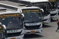 சுதந்திர தின கொண்டாட்டம்; வார இறுதி நாட்கள் சிறப்பு பஸ்கள் இயக்கம்