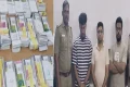 கோவையில் தடை செய்யப்பட்ட லாட்டரி சீட்டுகள் விற்பனை – 3 பெண்கள் உட்பட 6 பேர் கைது
