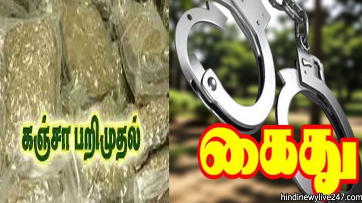 திருநெல்வேலியில் 250 கிராம் கஞ்சா பறிமுதல்: வாலிபர் கைது