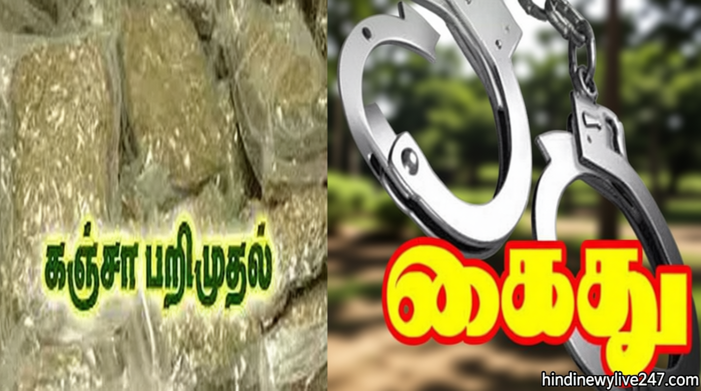 திருநெல்வேலியில் 250 கிராம் கஞ்சா பறிமுதல்: வாலிபர் கைது