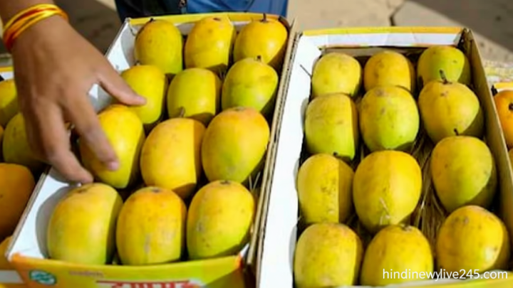 இந்திய மாம்பழங்களுக்கு தடை விதித்த நேபாளம்.! – காரணம் என்ன.?