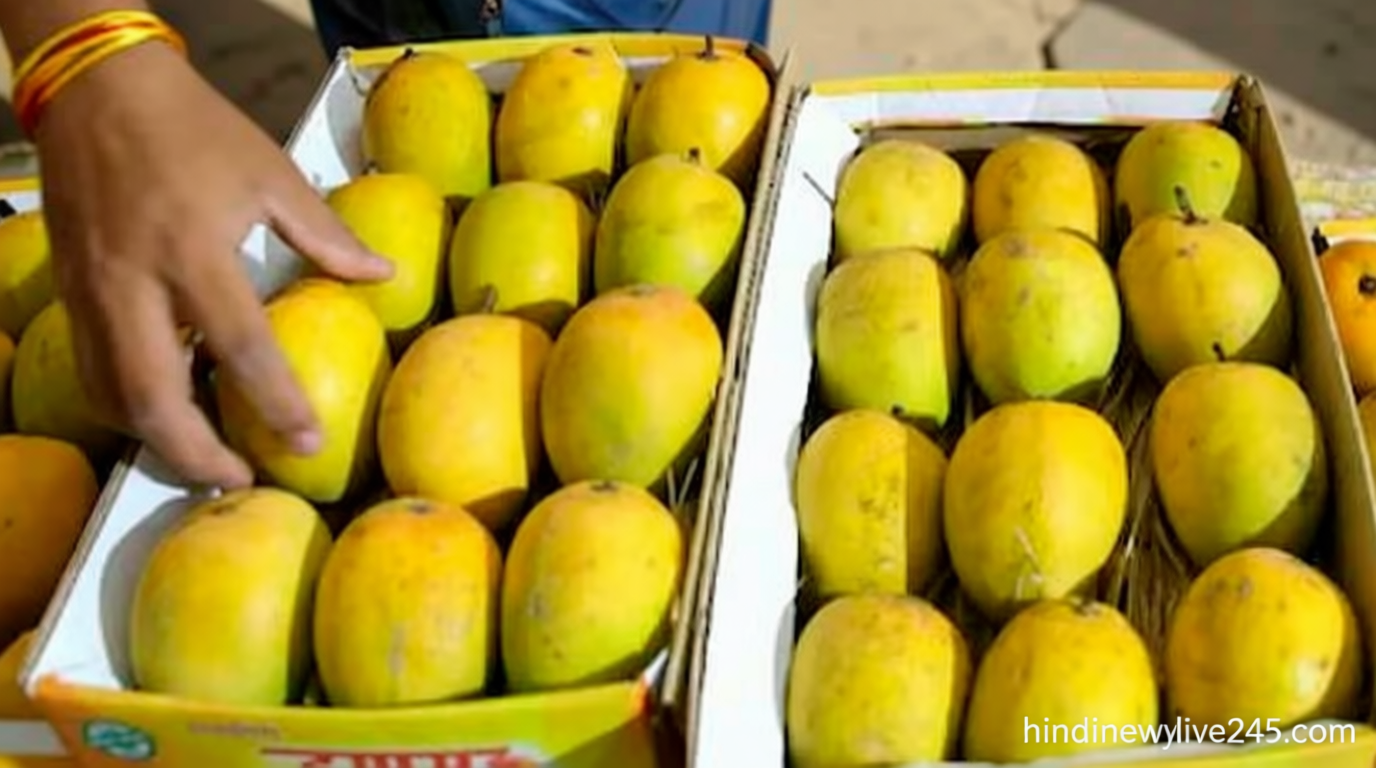 இந்திய மாம்பழங்களுக்கு தடை விதித்த நேபாளம்.! – காரணம் என்ன.?