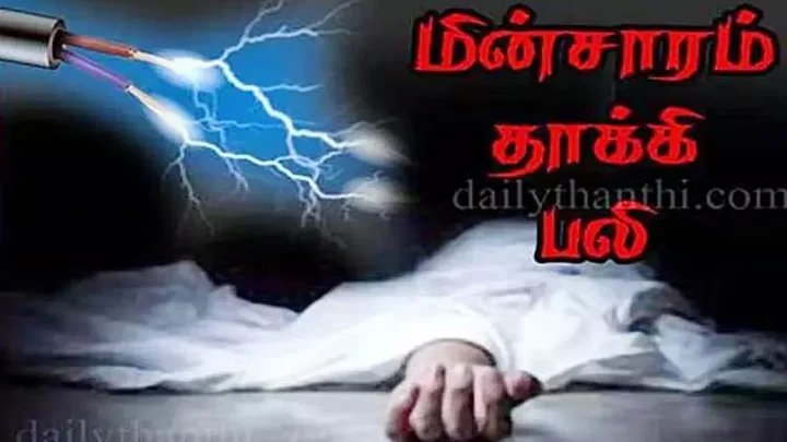 மாம்பழம் பறிக்க சென்ற தொழிலாளி மின்வேலியில் சிக்கி பலி