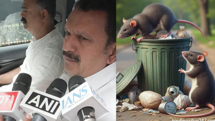 கேரளாவில் எலிக்காய்ச்சல் பரவல்: 2 பேர் பலி; 9 பேருக்கு பாதிப்பு உறுதி