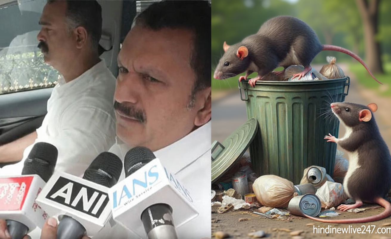 கேரளாவில் எலிக்காய்ச்சல் பரவல்: 2 பேர் பலி; 9 பேருக்கு பாதிப்பு உறுதி