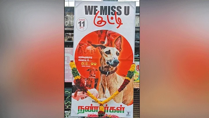 வளர்ப்பு நாய்க்கு கண்ணீர் அஞ்சலி பேனர்