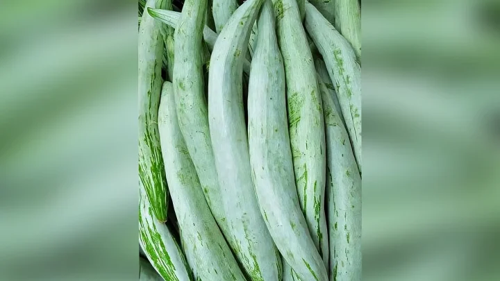 வாரம் 3 முறை புடலங்காய் சாப்பிட்டால் கிடைக்கும் நன்மைகள்!