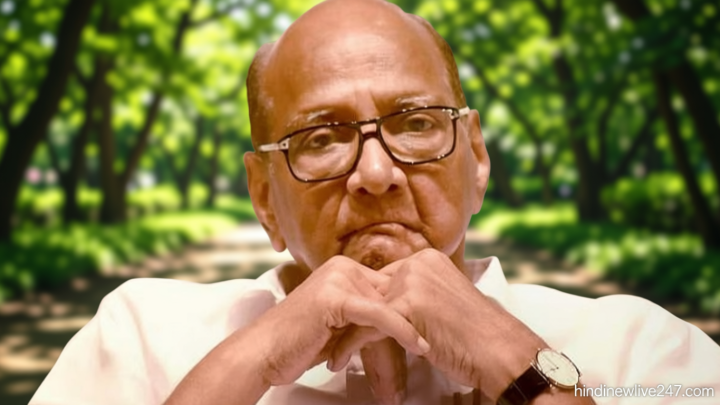 முன்னாள் பிரதமர் நேருவை யாருடனும் ஒப்பிட முடியாது -சரத் பவார்