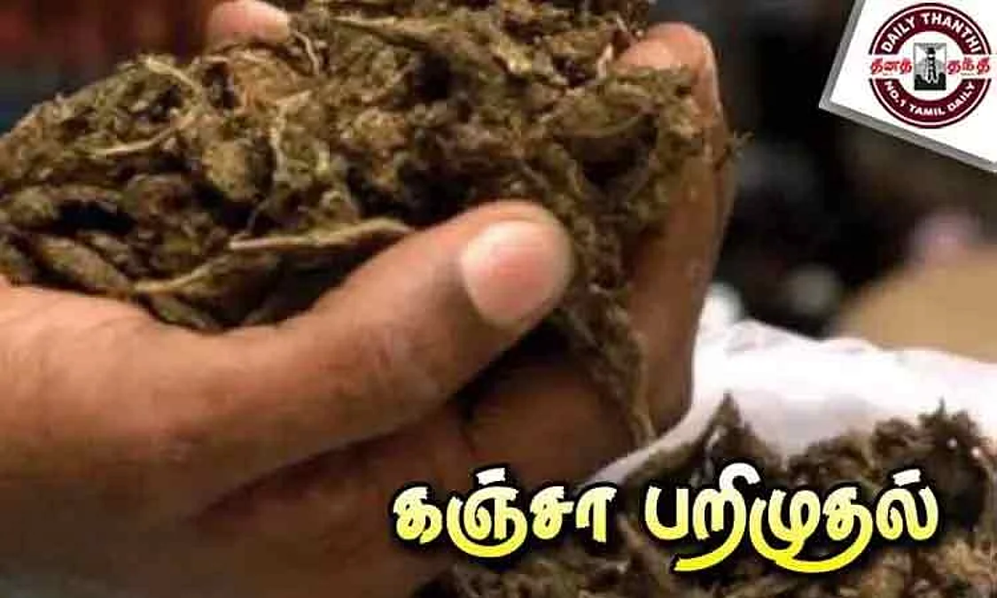 ganja