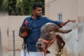அண்ணாமலை ‘பாட்காஸ்ட்’ நிகழ்ச்சி யூடியூப்பில் இன்று வெளியிடுகிறார்