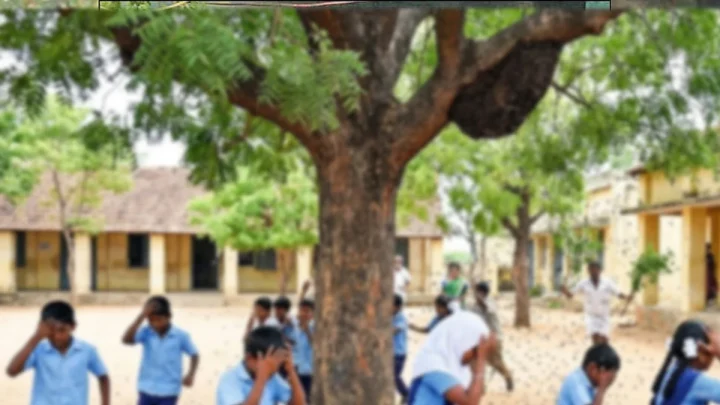 தேனீக்கள் கொட்டியதில் அரசு பள்ளி மாணவர்கள் 51 பேர் காயம்