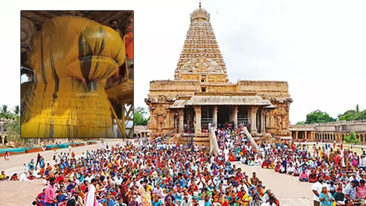ஆனி பிரதோஷம்: தஞ்சை பெரிய கோவில் நந்திக்கு சிறப்பு அபிஷேகம்
