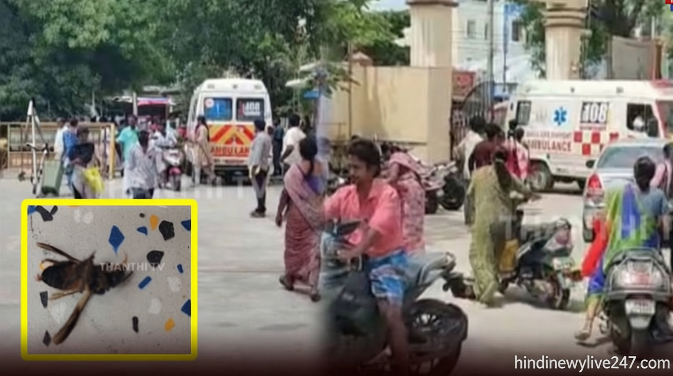 மஞ்சள் குளவி கடித்து பூச்சியியல் பேராசிரியர் பலி: 18 மாணவர்கள் காயம்
