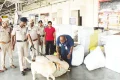 சுதந்திர தின விழாவையொட்டி, முக்கிய ரெயில் நிலையங்களில் பலத்த பாதுகாப்பு