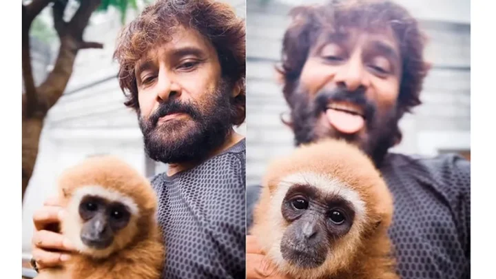 அரிய வகை குரங்கு விவகாரத்தில் நடிகர் விக்ரமிற்கு தொடர்பு இல்லை – வனத்துறை தகவல்
