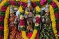 இந்த வார விசேஷங்கள்: 18-8-2026 முதல் 24-8-2026 வரை