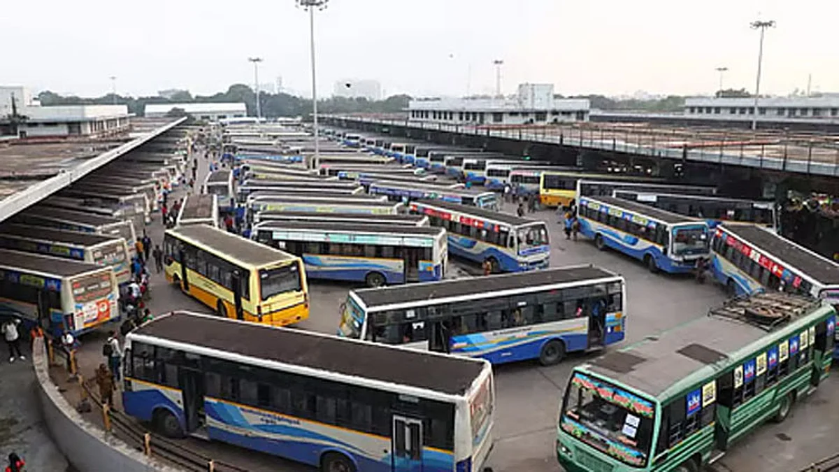 BUS