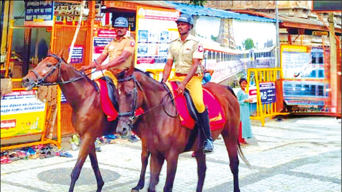 CHENNAI-13